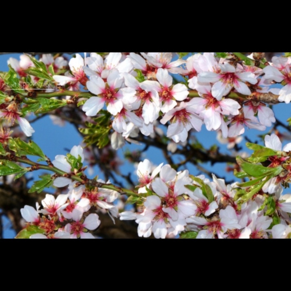 Meet your Posher, TJ.